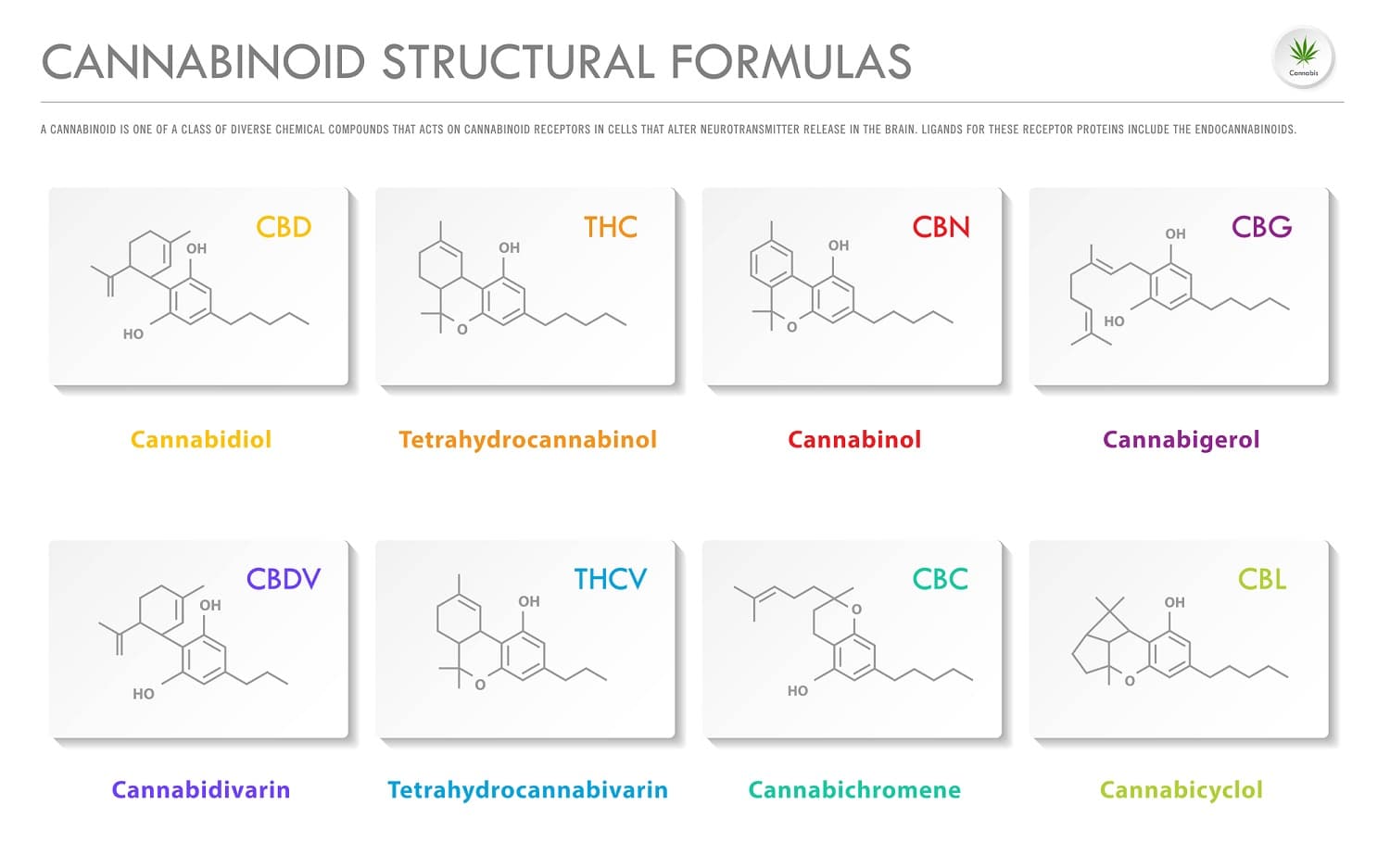 ¿Qué son los Cannabinoides? Lista de los naturales, sintéticos, efectos y usos