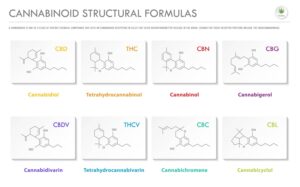¿Qué son los Cannabinoides? Lista de los naturales, sintéticos, efectos y usos